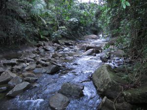 diversion_hydro_Sabana_PR
